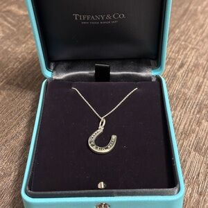 DISCONTINUED T&CO. horseshoe Charm and chain